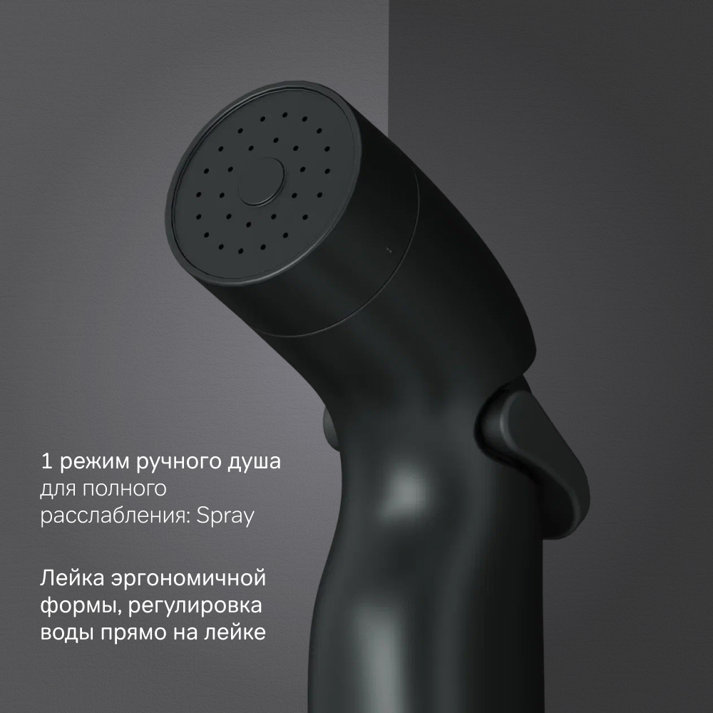 Гигиенический душ со шлангом и держателем AM.PM AM.PM F0202022 Гигиенический душ со шлангом и держателем AM.PM AM.PM F0202022